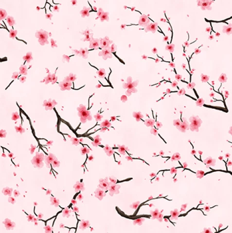 Shopcat_Color_Pink