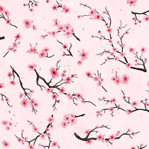 Shopcat_Color_Pink