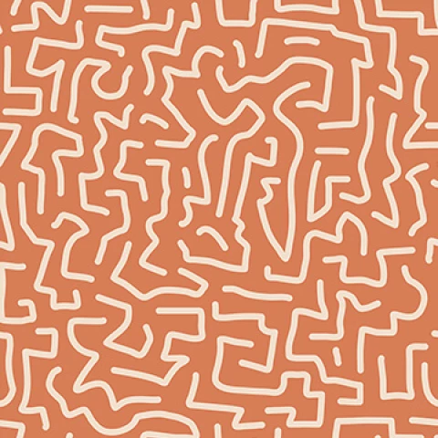 Shopcat_Color_Orange