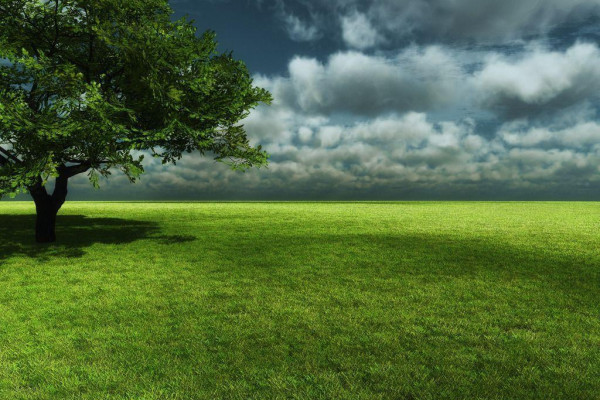 1024x768 Wallpaper