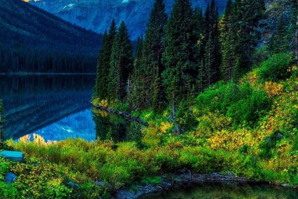 1440x2560 Wallpaper