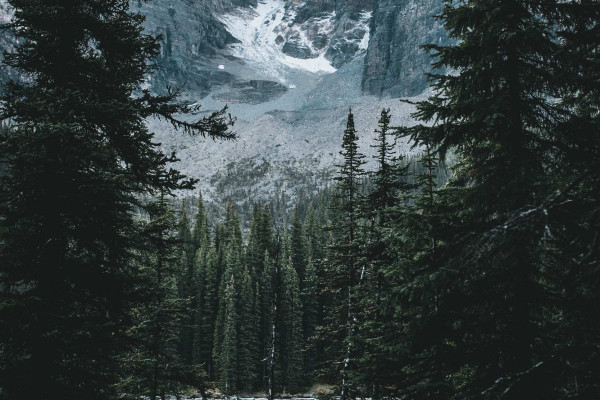 1668x2388 Wallpaper