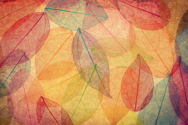 Autumn Abstract Wallpaper