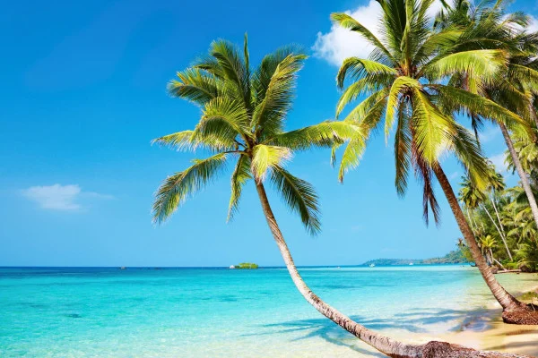 4K Ultra HD Beach Wallpaper