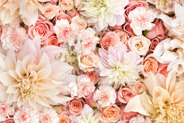 Floral Desktop Wallpaper