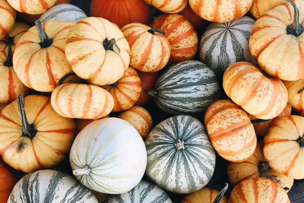 Aesthetic Pumpkin Wallpaper