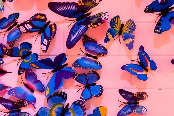 Aesthetic Butterfly Wallpaper