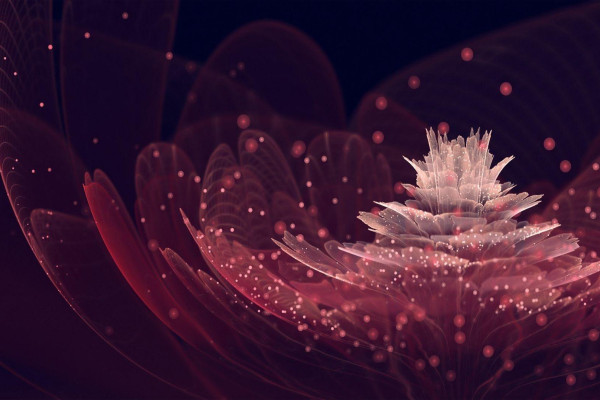 Maroon Abstract Wallpaper