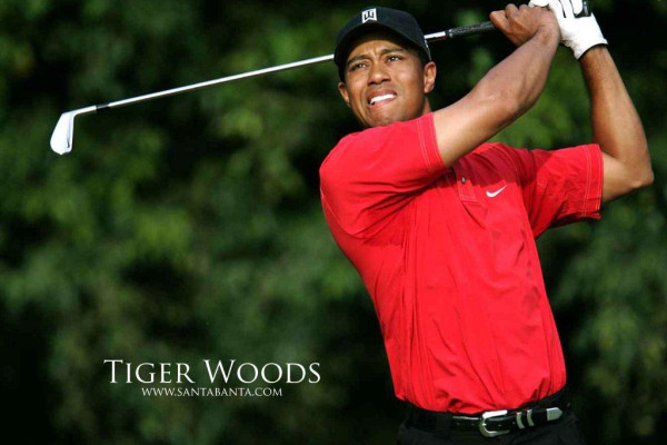 Tiger Woods Wallpaper