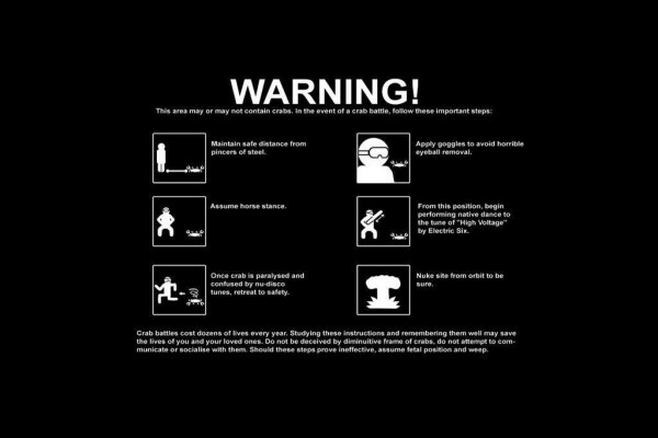 Crazy Laptop Wallpaper