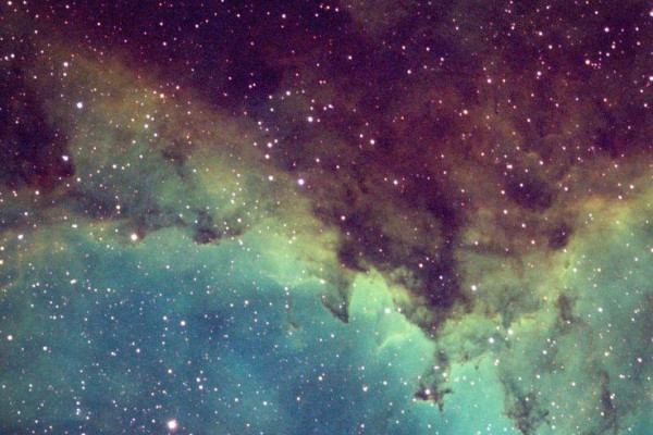 736x1308 Wallpaper