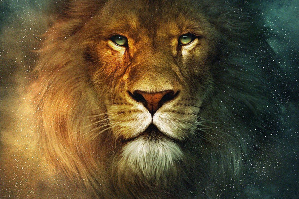 1440X1440 Wallpaper