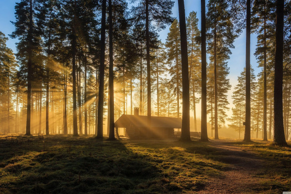 UHD Wallpaper