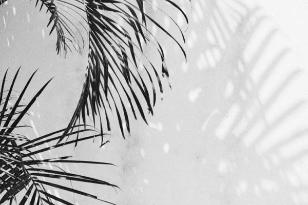 Aesthetic White Wallpaper