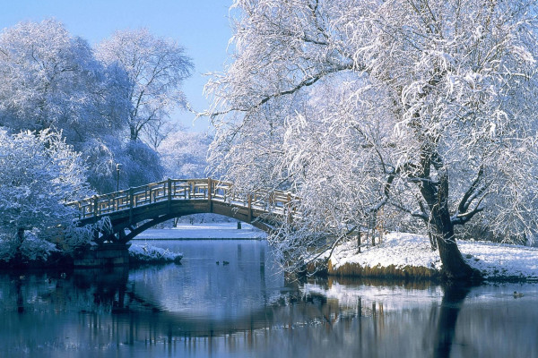 Winter Scenery Wallpaper