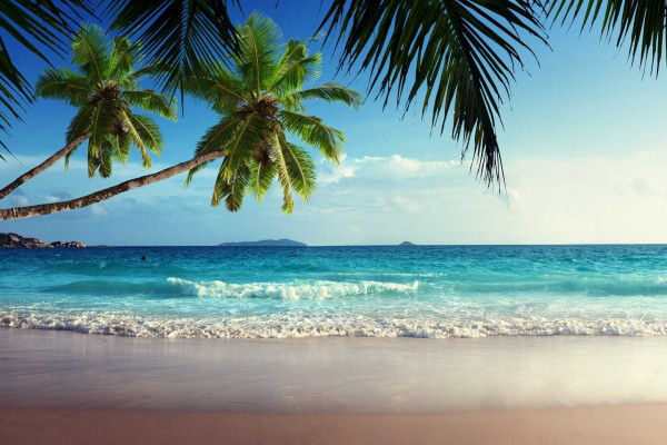 Tropical Beach Landscape Wallpaper