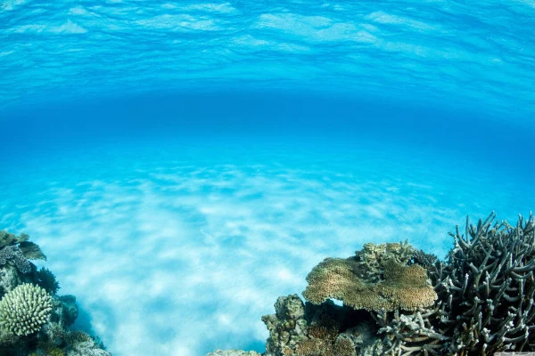 Underwater Wallpaper