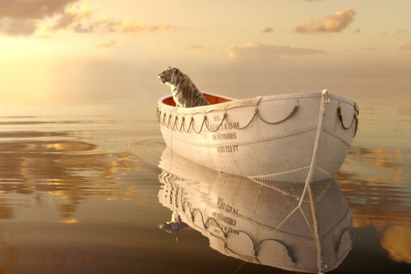 Life of Pi Wallpaper