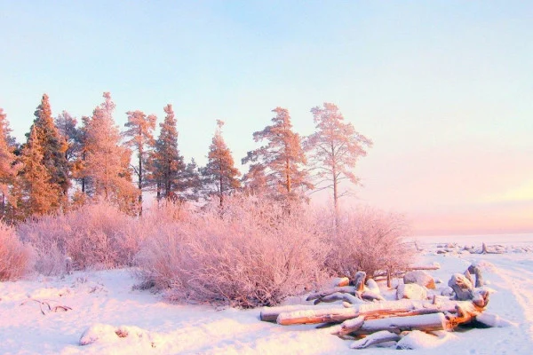 Aesthetic Snow Wallpaper