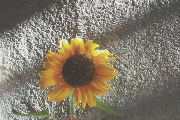 Aesthetic Photography Wallpaper
