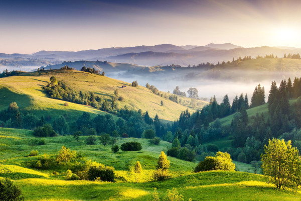 Landscape Wallpaper